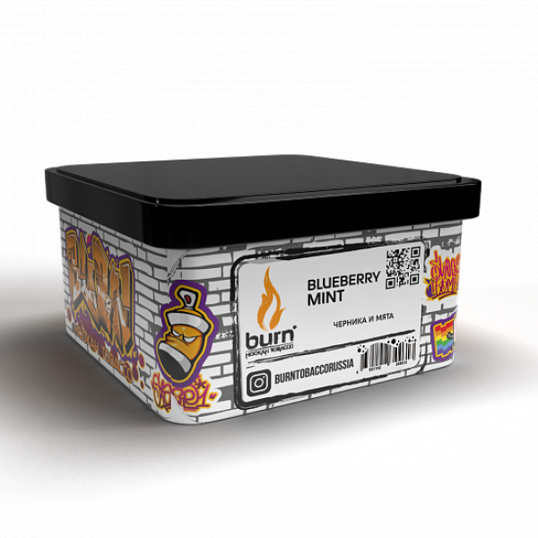 Табак BURN BLUEBERRY MINT 200 грамм в Ростове-на-Дону
