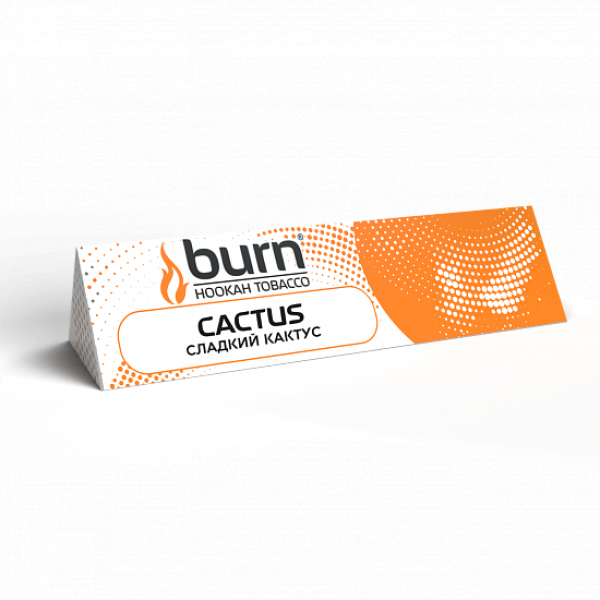 Табак BURN CACTUS 25 грамм в Ростове-на-Дону