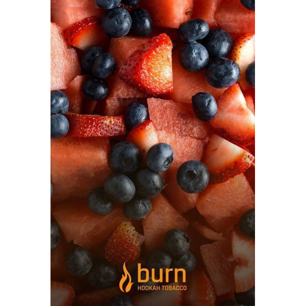 Табак Burn Berried Treasure 100 грамм в Ростове-на-Дону