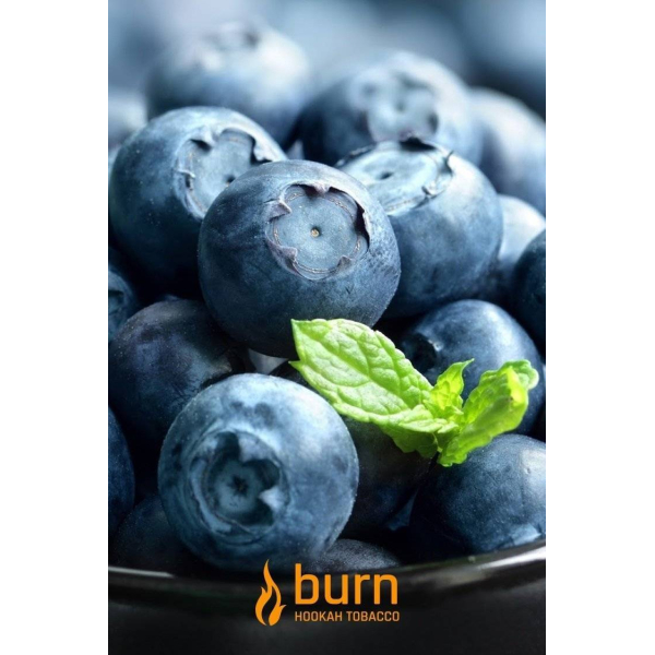 Табак Burn Blueberry Mint 100 грамм в Ростове-на-Дону