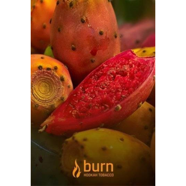Табак Burn Cactus 100 грамм в Ростове-на-Дону