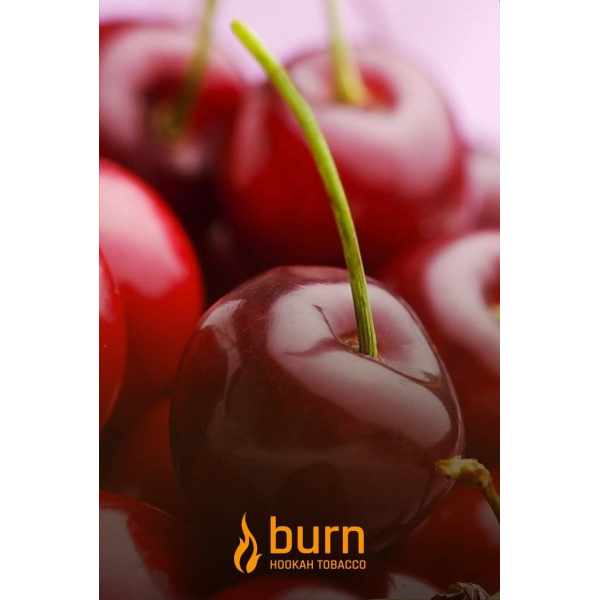 Табак Burn Candy Cherry 100 грамм в Ростове-на-Дону
