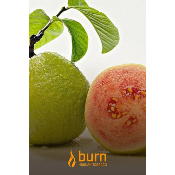 Табак Burn Guava 100 грамм в Ростове-на-Дону