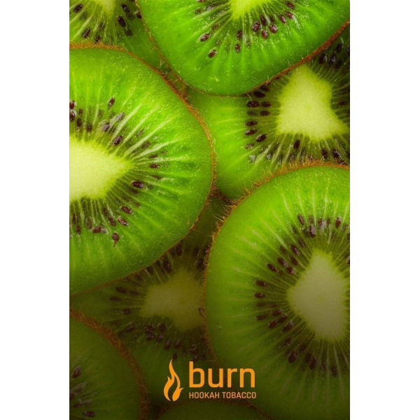 Табак Burn Kiwi 100 грамм в Ростове-на-Дону