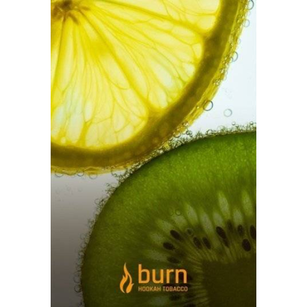 Табак Burn Kiwi Lemon 100 грамм в Ростове-на-Дону