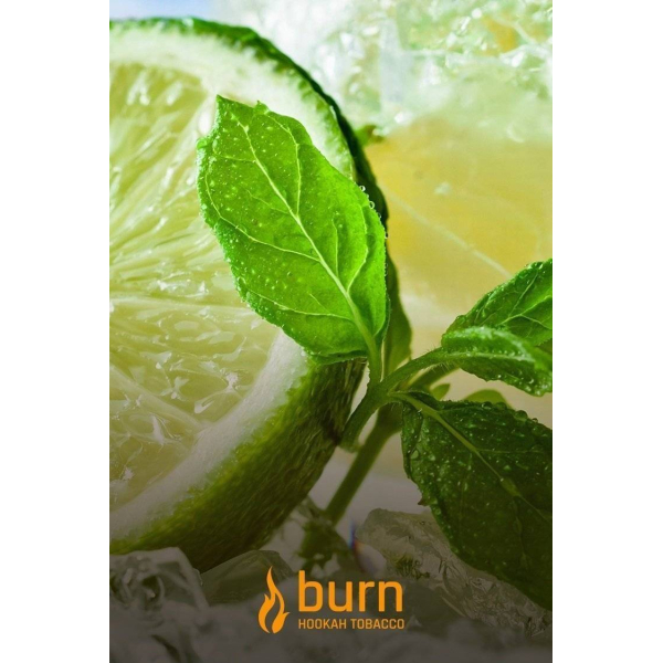 Табак Burn Lemon Mint 100 грамм в Ростове-на-Дону