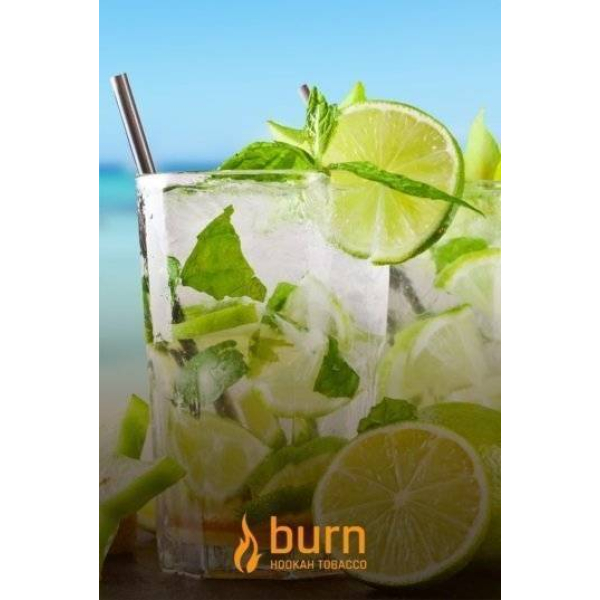 Табак Burn Mojito 100 грамм в Ростове-на-Дону