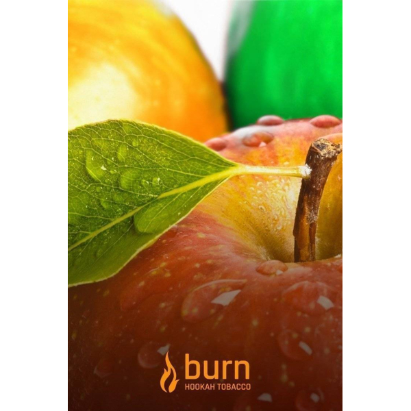 Табак Burn Three Apples 100 грамм в Ростове-на-Дону