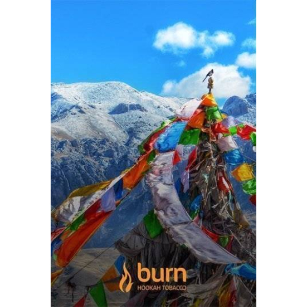 Табак Burn Tibet 100 грамм в Ростове-на-Дону