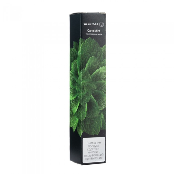 SOAK S Cane Mint (Тростниковая мята), 2500 тяг в Ростове-на-Дону