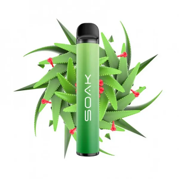 SOAK X Aloe Vera (Алое Вера), 1500 тяг в Ростове-на-Дону