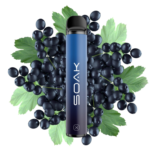 SOAK X Forest Blackcurrant (Лесная черная смородина), 1500 тяг в Ростове-на-Дону
