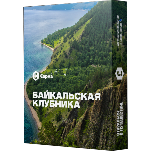 Табак Сарма Байкальская Клубника 25 гр в Ростове-на-Дону