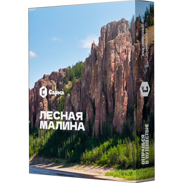 Табак Сарма Лесная малина 25 гр в Ростове-на-Дону