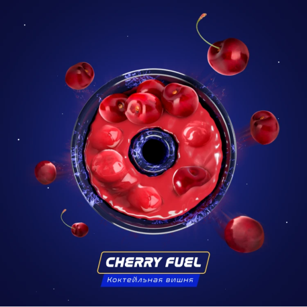 Паста Space Smoke BASIC Cherry Fuel (Вишнёвое топливо) 30 гр в Ростове-на-Дону