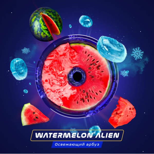 Паста Space Smoke BASIC Watermelon  Alien (Арбуз с  холодком) 30 гр в Ростове-на-Дону