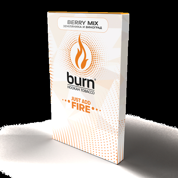Табак Burn Berry Mix  100 грамм в Ростове-на-Дону