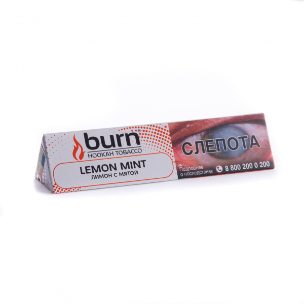 Табак Burn Lemon Mint  25 грамм в Ростове-на-Дону