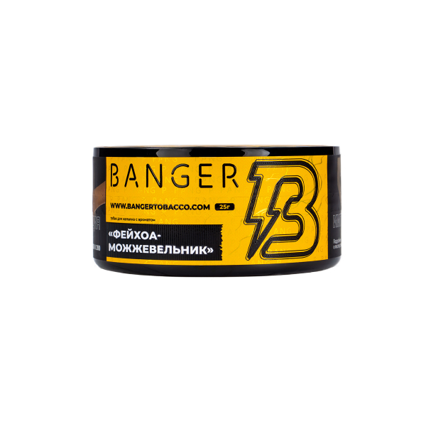 Табак Banger Evergreen 25 грамм в Ростове-на-Дону