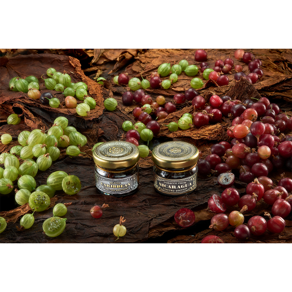Табак WTO CARIBBEAN BLEND CB15 Крыжовник 20 грамм в Ростове-на-Дону
